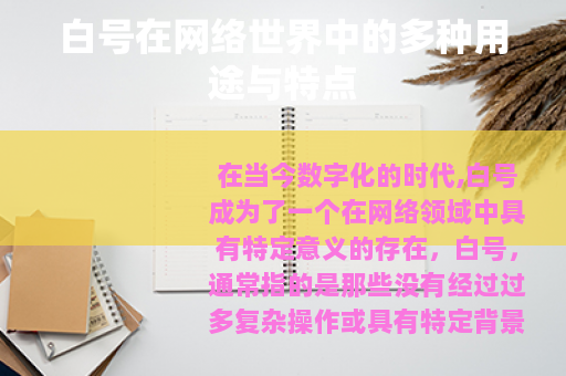 白号在网络世界中的多种用途与特点