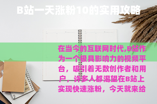 B站一天涨粉10的实用攻略