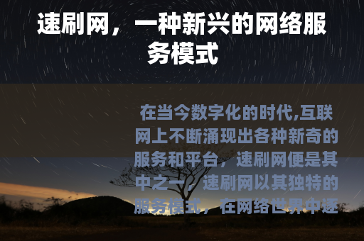 速刷网，一种新兴的网络服务模式