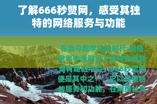 了解666秒赞网，感受其独特的网络服务与功能
