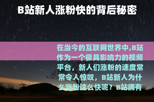 B站新人涨粉快的背后秘密