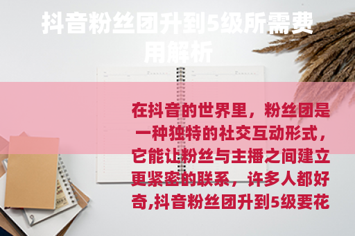 抖音粉丝团升到5级所需费用解析