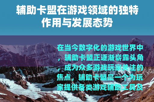 辅助卡盟在游戏领域的独特作用与发展态势