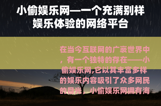 小偷娱乐网—一个充满别样娱乐体验的网络平台