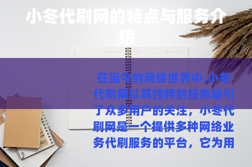 小冬代刷网的特点与服务介绍