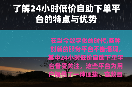 了解24小时低价自助下单平台的特点与优势