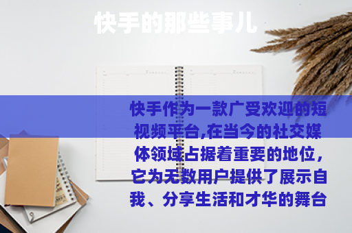 快手的那些事儿