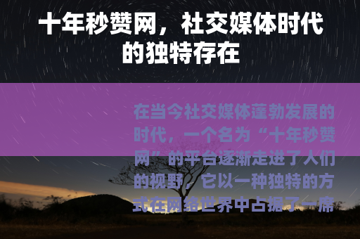 十年秒赞网，社交媒体时代的独特存在