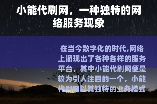 小能代刷网，一种独特的网络服务现象