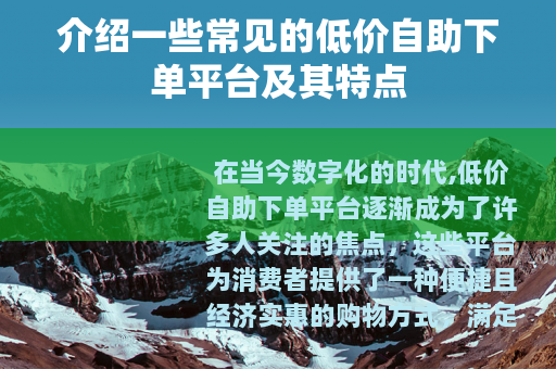 介绍一些常见的低价自助下单平台及其特点