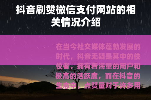 抖音刷赞微信支付网站的相关情况介绍
