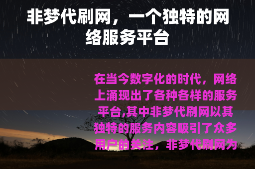 非梦代刷网，一个独特的网络服务平台