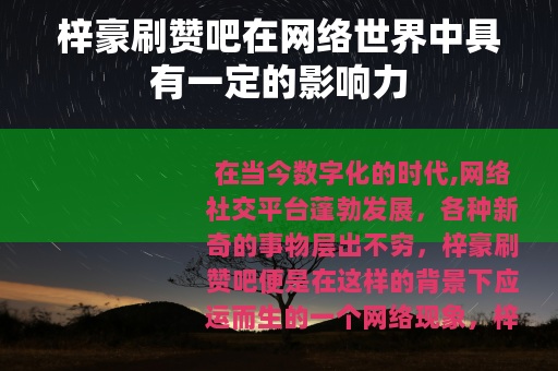 梓豪刷赞吧在网络世界中具有一定的影响力