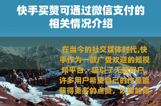 快手买赞可通过微信支付的相关情况介绍