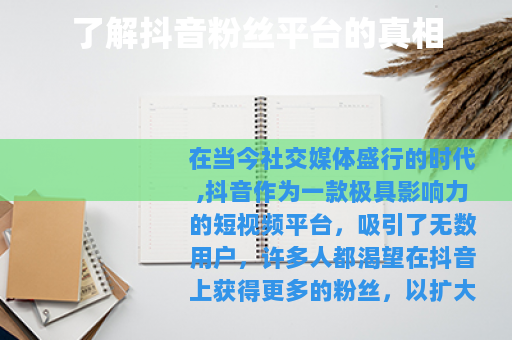 了解抖音粉丝平台的真相