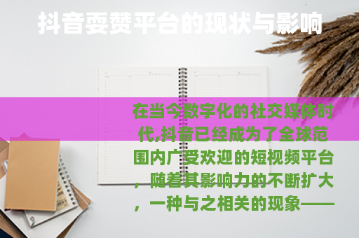 抖音耍赞平台的现状与影响