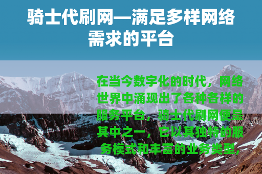骑士代刷网—满足多样网络需求的平台