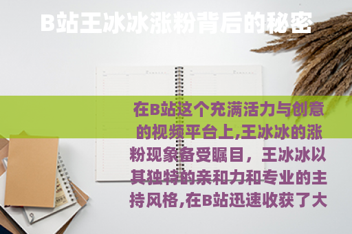 B站王冰冰涨粉背后的秘密