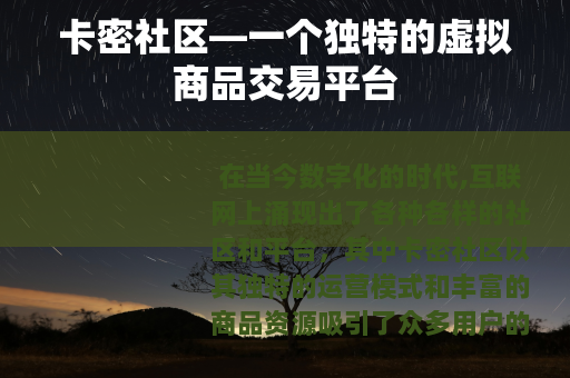 卡密社区—一个独特的虚拟商品交易平台
