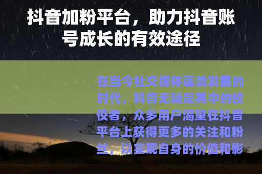 抖音加粉平台，助力抖音账号成长的有效途径