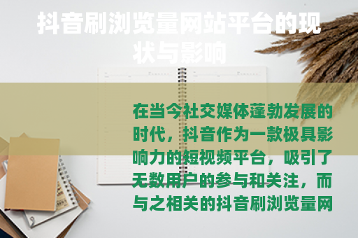 抖音刷浏览量网站平台的现状与影响