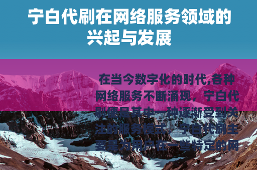 宁白代刷在网络服务领域的兴起与发展