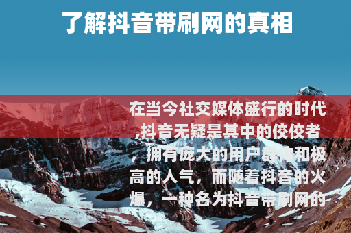 了解抖音带刷网的真相