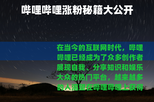 哔哩哔哩涨粉秘籍大公开