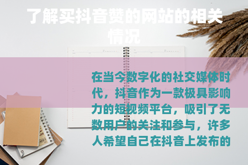 了解买抖音赞的网站的相关情况