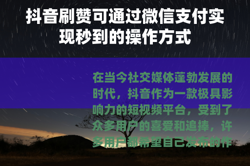 抖音刷赞可通过微信支付实现秒到的操作方式