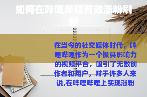 如何在哔哩哔哩有效涨粉刷粉