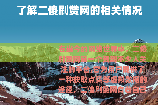 了解二傻刷赞网的相关情况