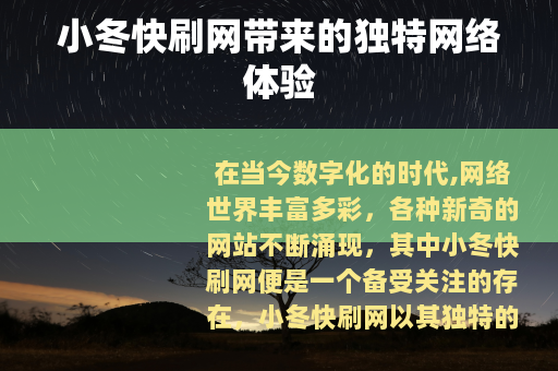 小冬快刷网带来的独特网络体验
