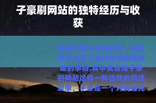 子豪刷网站的独特经历与收获