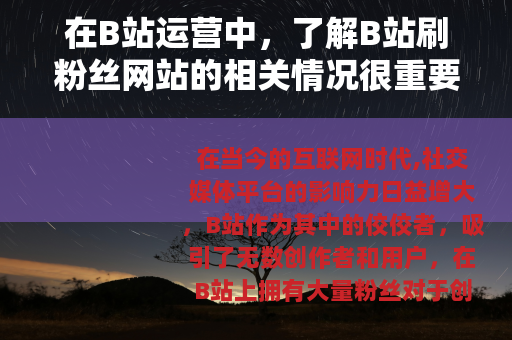在B站运营中，了解B站刷粉丝网站的相关情况很重要