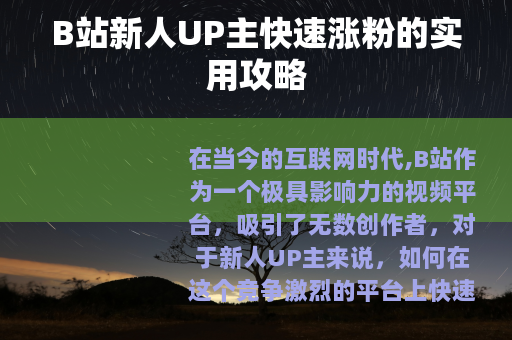 B站新人UP主快速涨粉的实用攻略