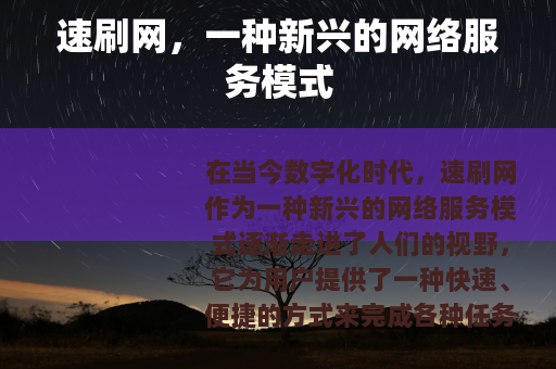 速刷网，一种新兴的网络服务模式