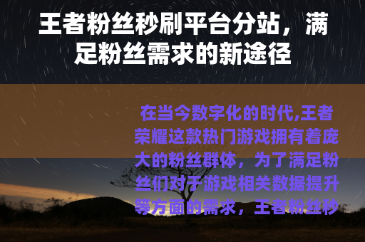 王者粉丝秒刷平台分站，满足粉丝需求的新途径