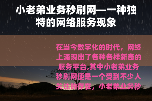 小老弟业务秒刷网—一种独特的网络服务现象