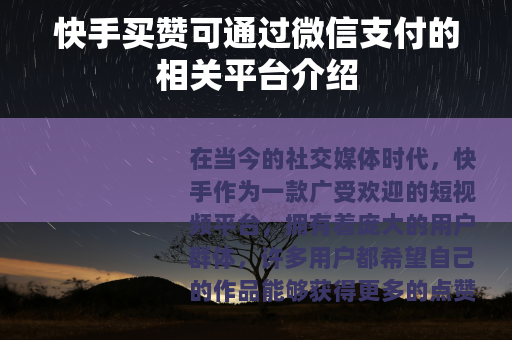 快手买赞可通过微信支付的相关平台介绍