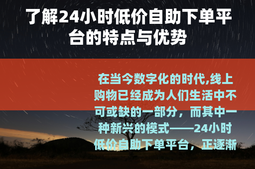 了解24小时低价自助下单平台的特点与优势