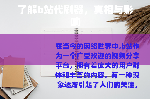 了解b站代刷器，真相与影响