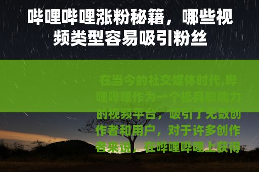 哔哩哔哩涨粉秘籍，哪些视频类型容易吸引粉丝