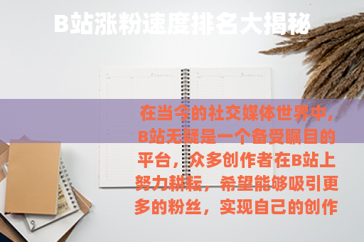 B站涨粉速度排名大揭秘