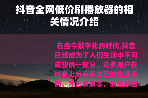 抖音全网低价刷播放器的相关情况介绍