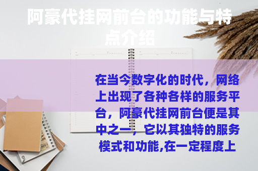 阿豪代挂网前台的功能与特点介绍
