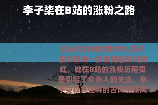 李子柒在B站的涨粉之路