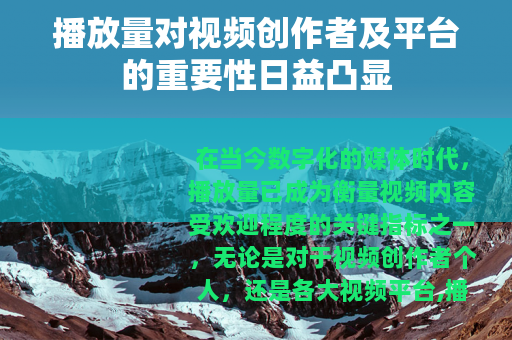 播放量对视频创作者及平台的重要性日益凸显