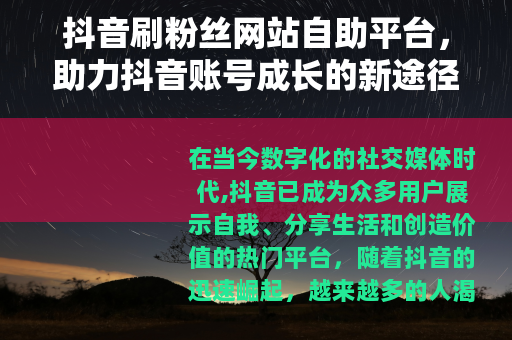 抖音刷粉丝网站自助平台，助力抖音账号成长的新途径