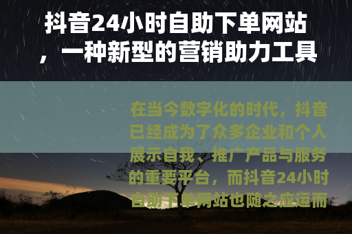 抖音24小时自助下单网站，一种新型的营销助力工具